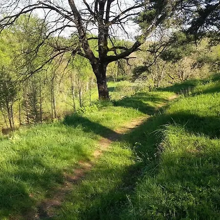 דירה For 2-3 People